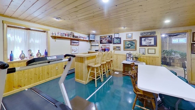 109 Gray Pl W, Marshall, MN 56258 - indoor bar featuring wood ceiling, a wainscoted wall, and recessed lighting