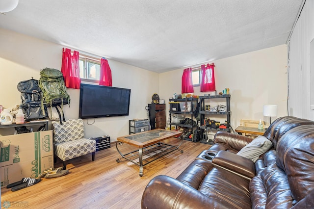 living room with wood finished floors and a textured ceiling