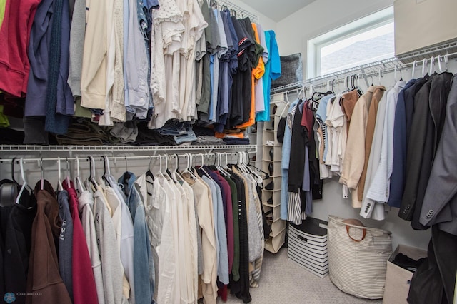 view of spacious closet