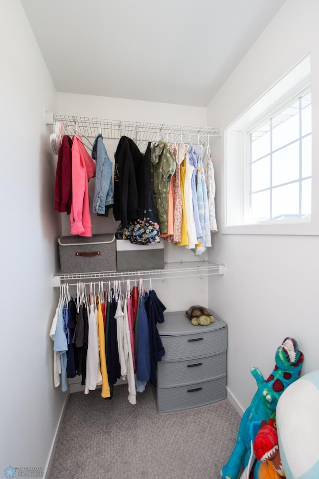 spacious closet featuring carpet