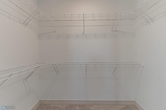 8820 Northern Lights Ave, Fargo, ND 58047 - spacious closet featuring carpet flooring