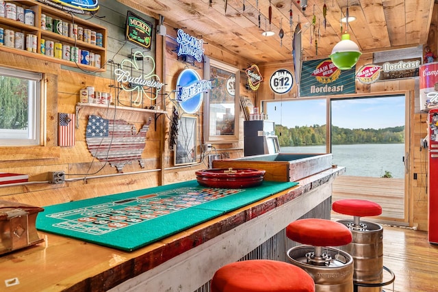 2132 295th Ave, Luck, WI 54853 - recreation room featuring wooden ceiling, wooden walls, wood-type flooring, and a water view