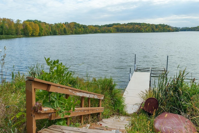 2132 295th Ave, Luck, WI 54853 - dock area with a water view and a view of trees