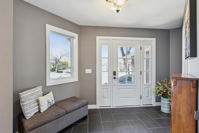 1683 Hansack Ave NE, Saint Michael, MN 55376 - entryway with plenty of natural light and baseboards