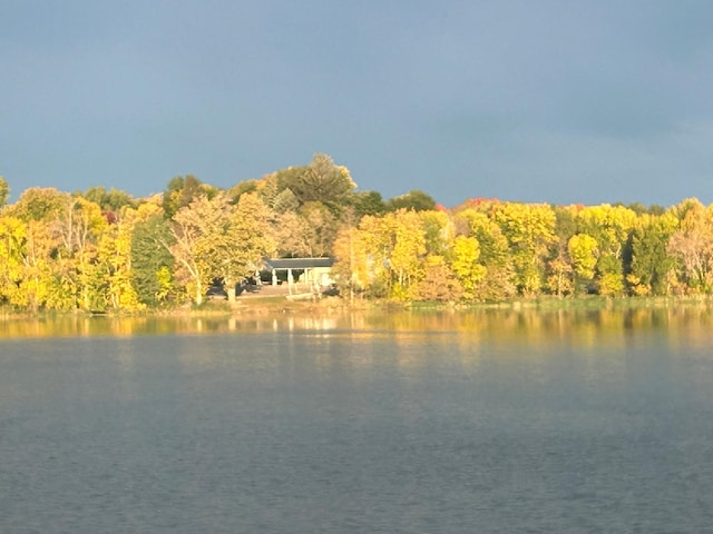 1683 Hansack Ave NE, Saint Michael, MN 55376 - water view featuring a heavily wooded area