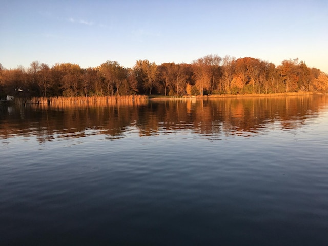 1683 Hansack Ave NE, Saint Michael, MN 55376 - water view featuring a forest