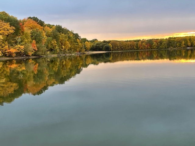 1683 Hansack Ave NE, Saint Michael, MN 55376 - water view with a forest