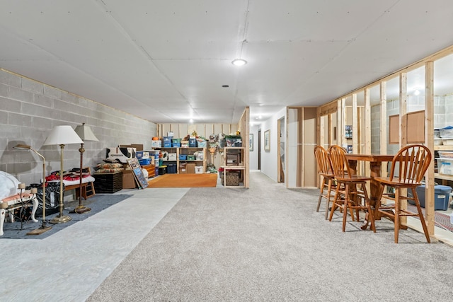 2006 13th Ave NE, Austin, MN 55912 - basement with concrete block wall