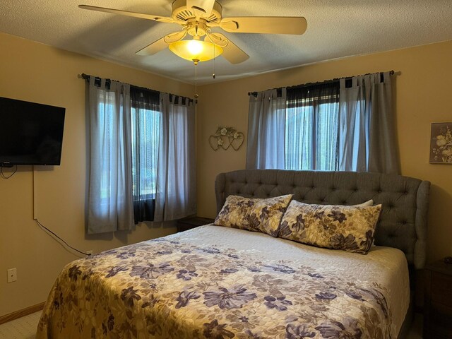 522 Delaware St SW, Lonsdale, MN 55046 - bedroom featuring multiple windows, a ceiling fan, and baseboards