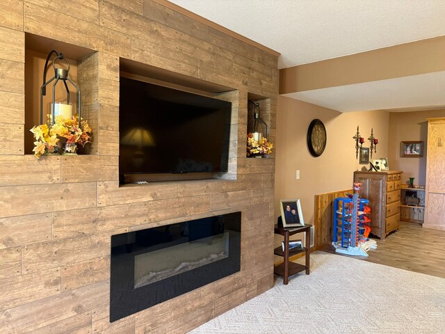 522 Delaware St SW, Lonsdale, MN 55046 - living area with a glass covered fireplace and a textured ceiling