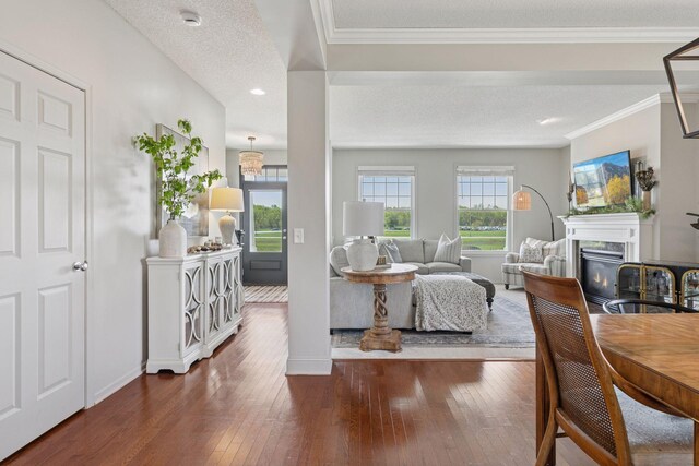 343 Primrose Path, Bayport, MN 55003 - living room featuring a glass covered fireplace, dark wood-style flooring, plenty of natural light, a textured ceiling, and baseboards