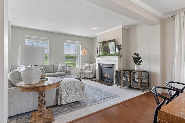 343 Primrose Path, Bayport, MN 55003 - living room with wood finished floors, a glass covered fireplace, crown molding, and a textured ceiling
