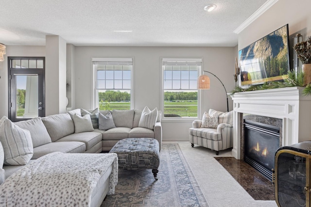 343 Primrose Path, Bayport, MN 55003 - carpeted living area featuring a textured ceiling, a high end fireplace, and baseboards