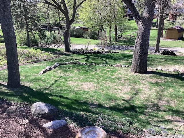 view of green lawn