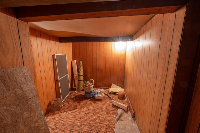 4448 43rd Ave S, Minneapolis, MN 55406 - finished below grade area featuring wooden walls and carpet