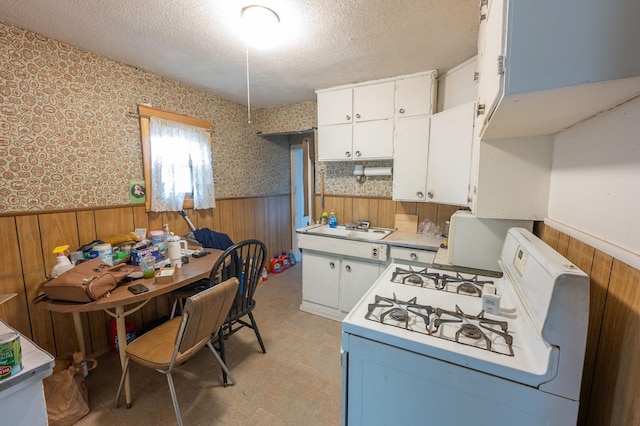 4448 43rd Ave S, Minneapolis, MN 55406 - kitchen featuring white range with gas cooktop, wainscoting, wood walls, a sink, and a textured ceiling