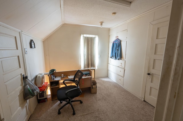 4448 43rd Ave S, Minneapolis, MN 55406 - carpeted home office featuring lofted ceiling and a textured ceiling