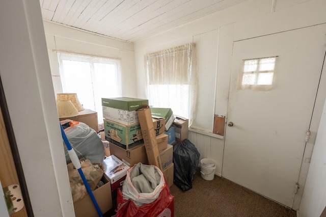 4448 43rd Ave S, Minneapolis, MN 55406 - view of storage