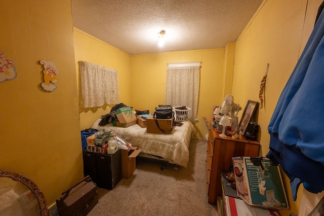 4448 43rd Ave S, Minneapolis, MN 55406 - carpeted bedroom featuring a textured ceiling