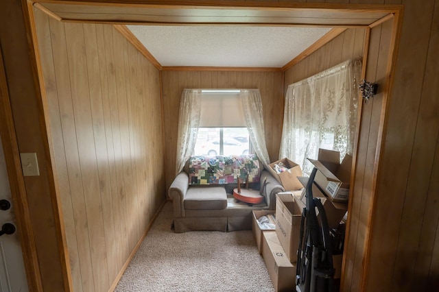 4448 43rd Ave S, Minneapolis, MN 55406 - sitting room featuring wood walls, carpet flooring, crown molding, and a textured ceiling