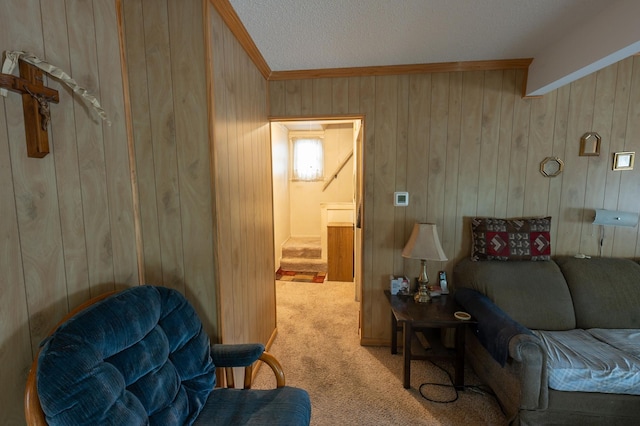 4448 43rd Ave S, Minneapolis, MN 55406 - carpeted living room with wood walls