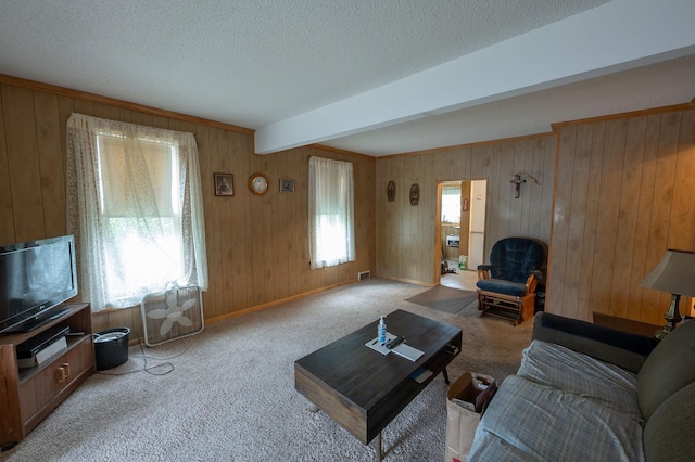 4448 43rd Ave S, Minneapolis, MN 55406 - living area with a textured ceiling, wooden walls, light colored carpet, and beam ceiling