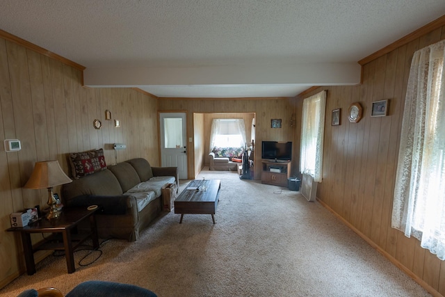 4448 43rd Ave S, Minneapolis, MN 55406 - carpeted living room with wood walls and a textured ceiling