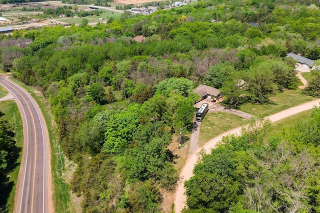 bird's eye view of a forest