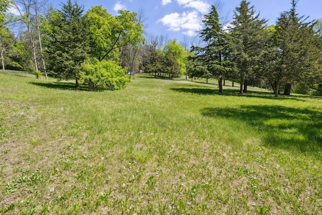view of green lawn