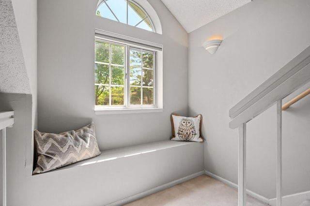 unfurnished room featuring vaulted ceiling and carpet