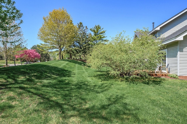 view of green lawn