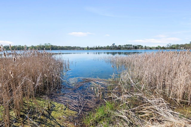 19776 214th Ave NW, Big Lake Twp, MN 55309 - water view