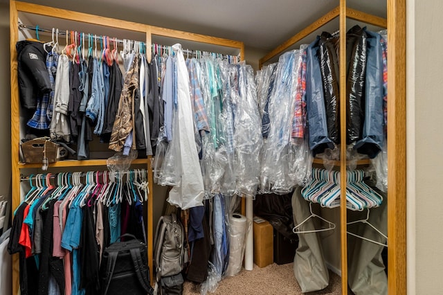 19776 214th Ave NW, Big Lake Twp, MN 55309 - spacious closet featuring carpet