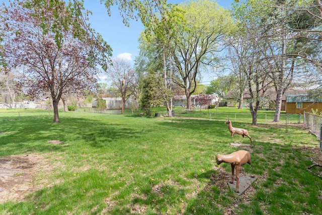 view of yard