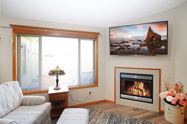 4129 6th St S, Saint Cloud, MN 56301 - living area with wood finished floors, plenty of natural light, lofted ceiling, and a glass covered fireplace