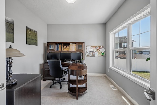 104 Hummingbird Way, Delano, MN 55328 - office area featuring light colored carpet
