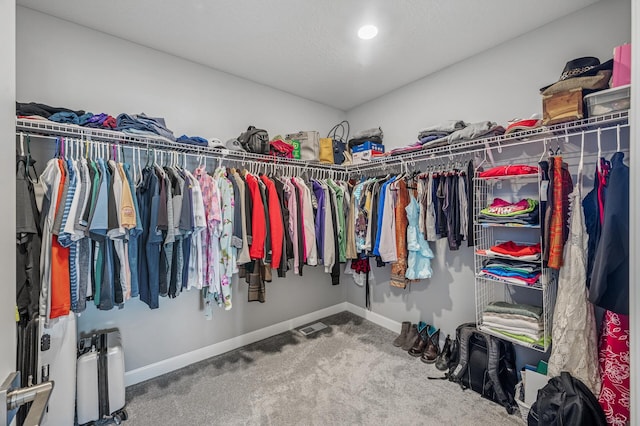 104 Hummingbird Way, Delano, MN 55328 - spacious closet with carpet flooring