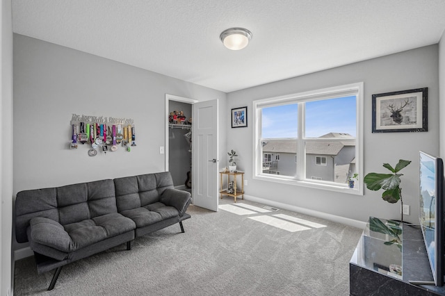 104 Hummingbird Way, Delano, MN 55328 - carpeted living room with baseboards
