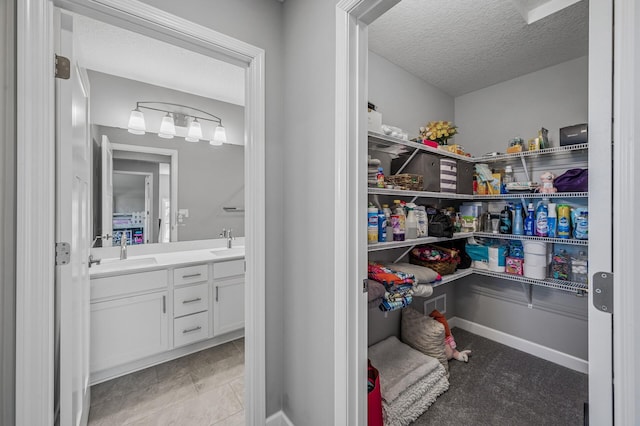 104 Hummingbird Way, Delano, MN 55328 - storage area with a sink