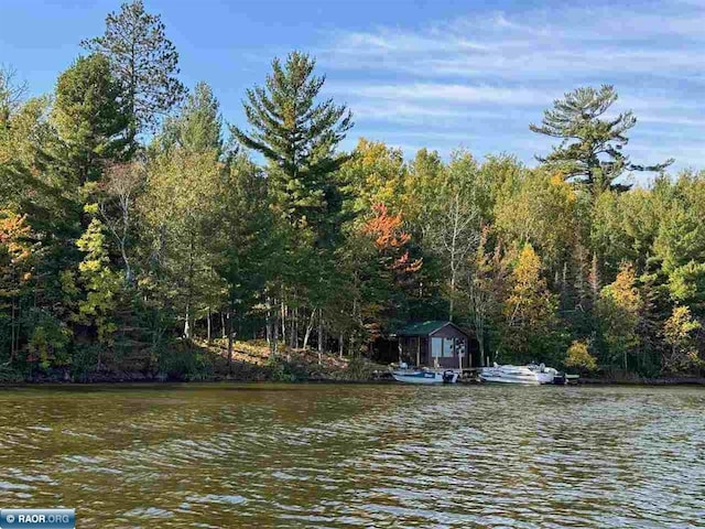 7204 Hinsdale Is, Cook, MN 55723 - photo 2