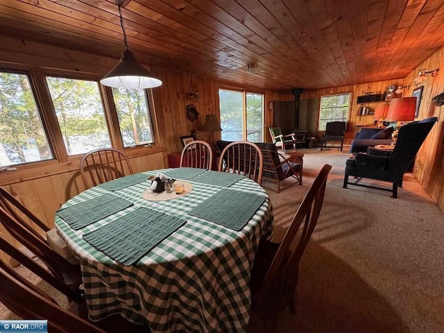 7204 Hinsdale Is, Cook, MN 55723 - photo 13