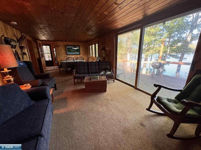 7204 Hinsdale Is, Cook, MN 55723 - photo 14