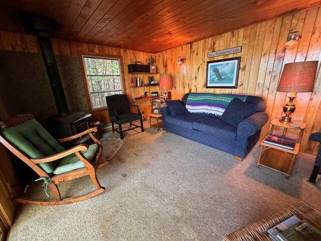 7204 Hinsdale Is, Cook, MN 55723 - photo 15