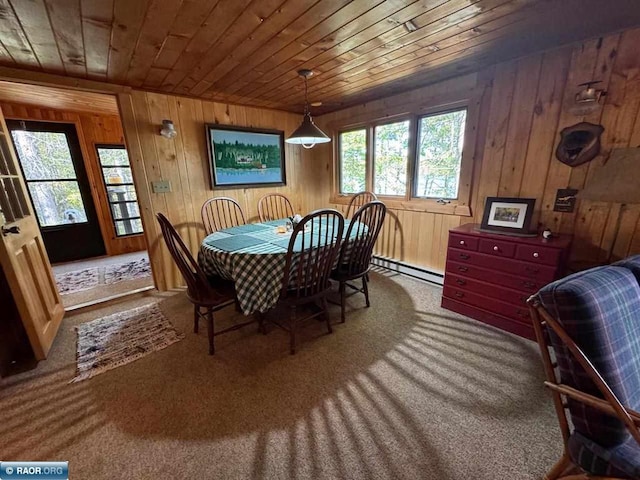 7204 Hinsdale Is, Cook, MN 55723 - photo 17