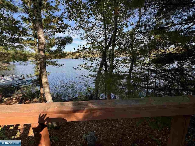 7204 Hinsdale Is, Cook, MN 55723 - photo 33