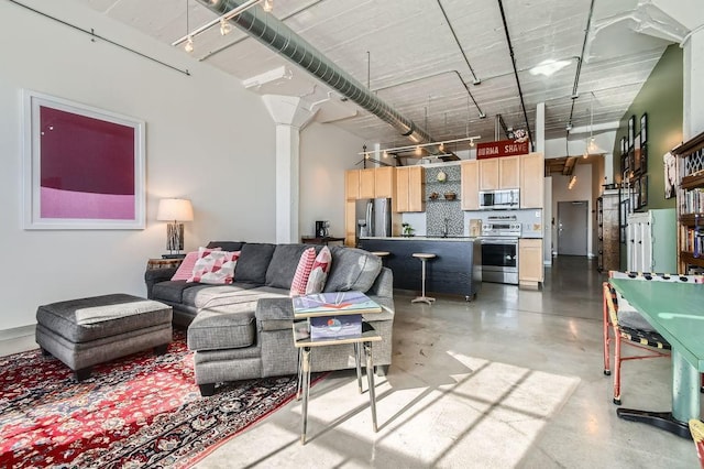 730 Stinson Blvd Unit 205, Minneapolis, MN 55413 - living area featuring concrete floors and ornate columns