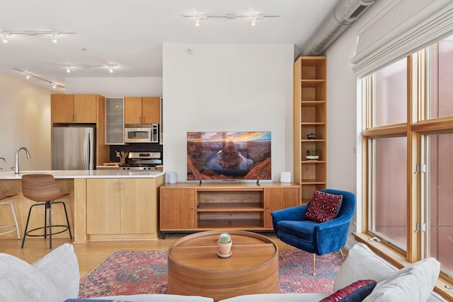 2845 Colfax Ave S Unit W202, Minneapolis, MN 55408 - living room featuring rail lighting and light wood-style floors