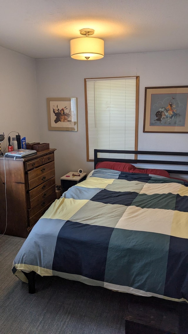 1211 10th Ave SW, Austin, MN 55912 - bedroom with carpet flooring