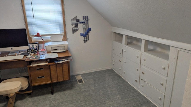 1211 10th Ave SW, Austin, MN 55912 - office featuring lofted ceiling, dark carpet, a textured ceiling, and baseboards