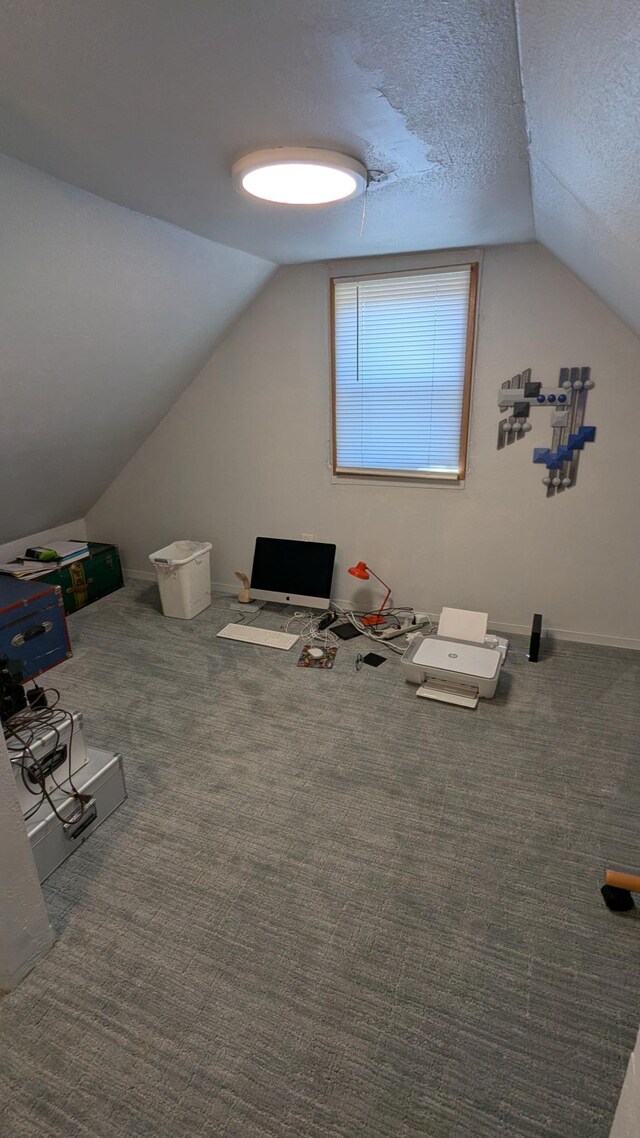 1211 10th Ave SW, Austin, MN 55912 - additional living space featuring lofted ceiling, carpet floors, and a textured ceiling
